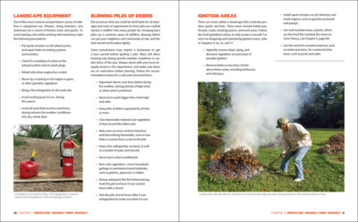 Firescaping - Image 4