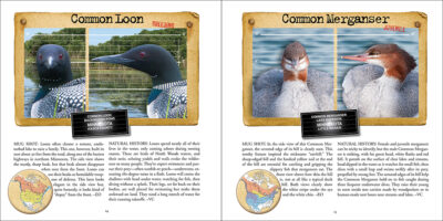 Bird Mug Shots - Image 2
