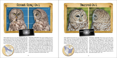 Bird Mug Shots - Image 4