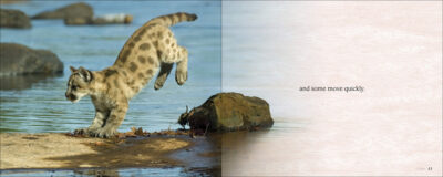 Some Babies Are Wild - Image 3