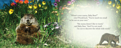Baby Bear Discovers the World - Image 3