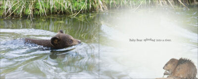 Baby Bear Discovers the World - Image 4