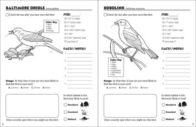 Birds of the Northwoods Activity Book - Image 2