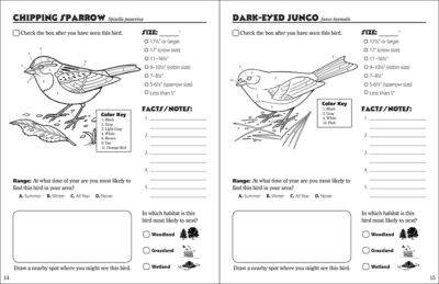 Birds of the Northwoods Activity Book - Image 3