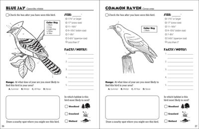 Birds of the Northwoods Activity Book - Image 4