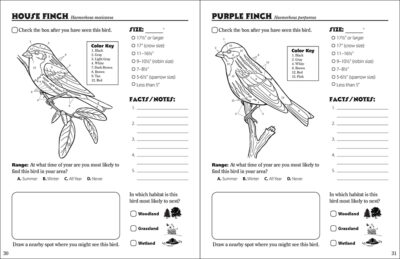Birds of the Northwoods Activity Book - Image 5