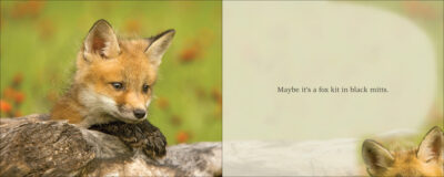 Cutest Critter - Image 2