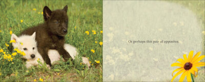 Cutest Critter - Image 3