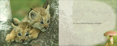 Cutest Critter - Image 5