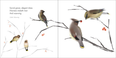 Zen Birds - Image 2