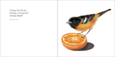 Zen Birds - Image 4