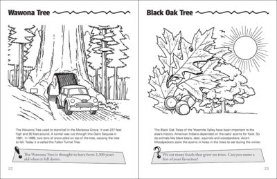 Yosemite Activity Book - Image 4