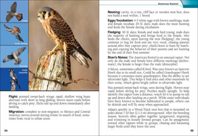 Birds of Prey of the West Field Guide - Image 3