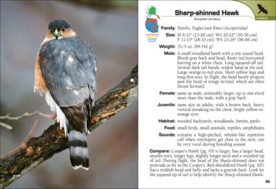 Birds of Prey of the West Field Guide - Image 4