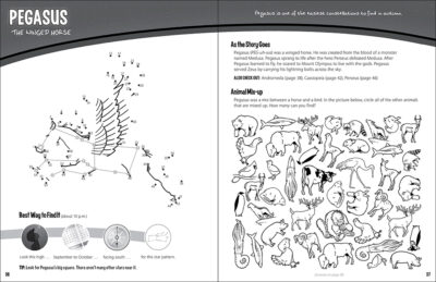 Constellations Activity Book - Image 3
