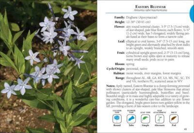 Wildflowers of the Southeast Field Guide - Image 3