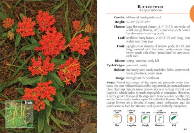 Wildflowers of the Southeast Field Guide - Image 4