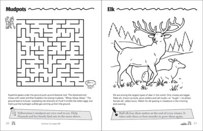 Yellowstone & Grand Teton Activity Book - Image 2