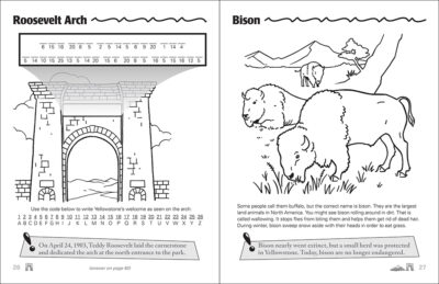Yellowstone & Grand Teton Activity Book - Image 3