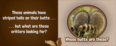Whose Butt? - Image 4