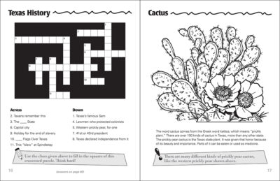 Texas Activity Book - Image 3