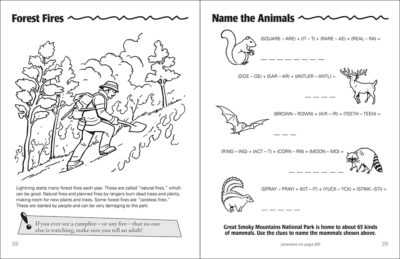 Great Smoky Mountains Activity Book - Image 3