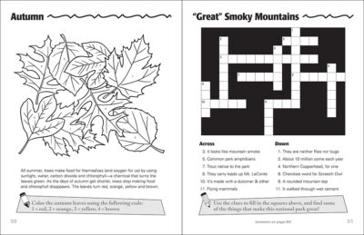 Great Smoky Mountains Activity Book - Image 4