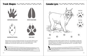 Animal Tracks Activity Book - AdventureKEEN Shop