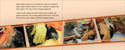Esther the Eaglet - Image 3