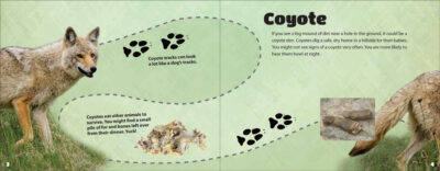 Critter Litter - Image 2