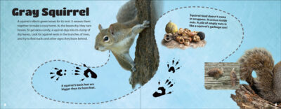 Critter Litter - Image 3