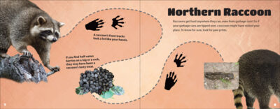 Critter Litter - Image 4