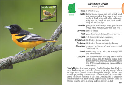 Birds of New Hampshire & Vermont Field Guide - Image 3