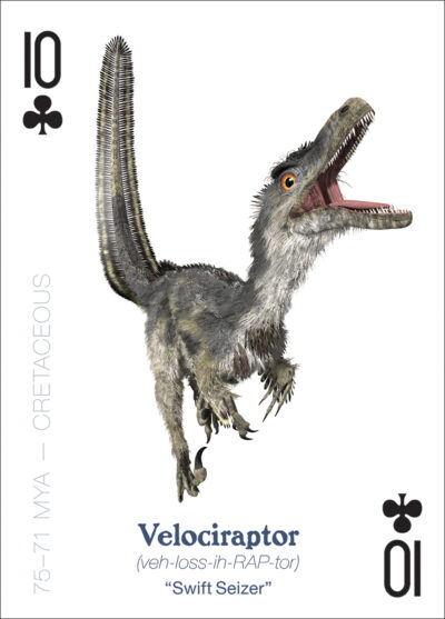 The Amazing World of Dinosaurs Playing Cards - Image 3