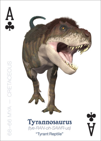 The Amazing World of Dinosaurs Playing Cards - Image 4