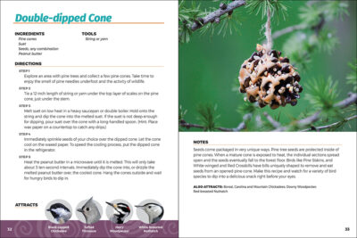 Homemade Bird Food - Image 2