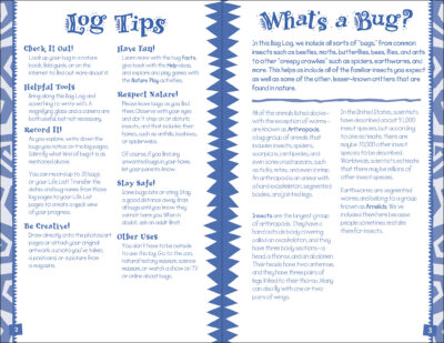 Bug Log Kids - Image 2