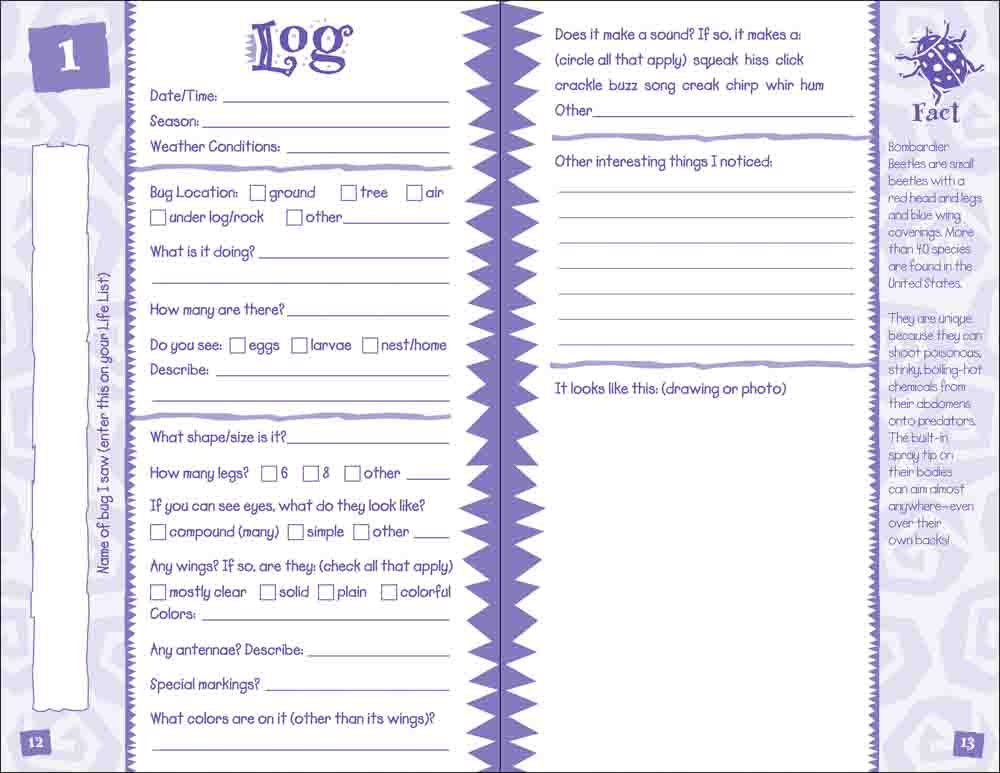 Bug Log Kids - Image 2