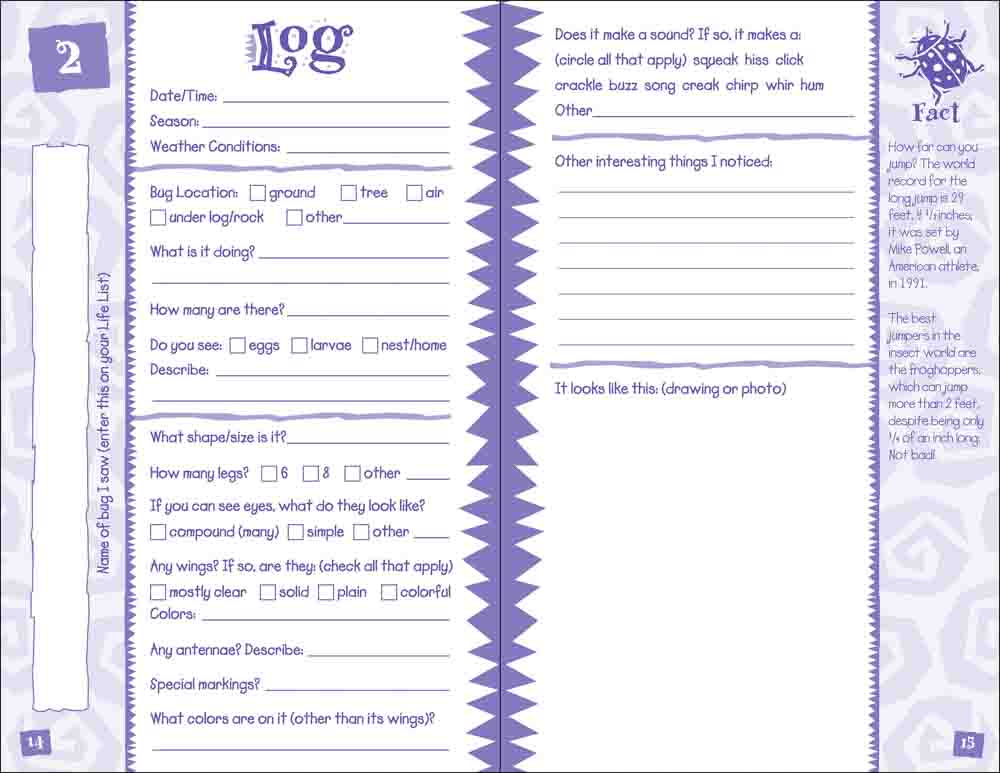 Bug Log Kids - Image 3