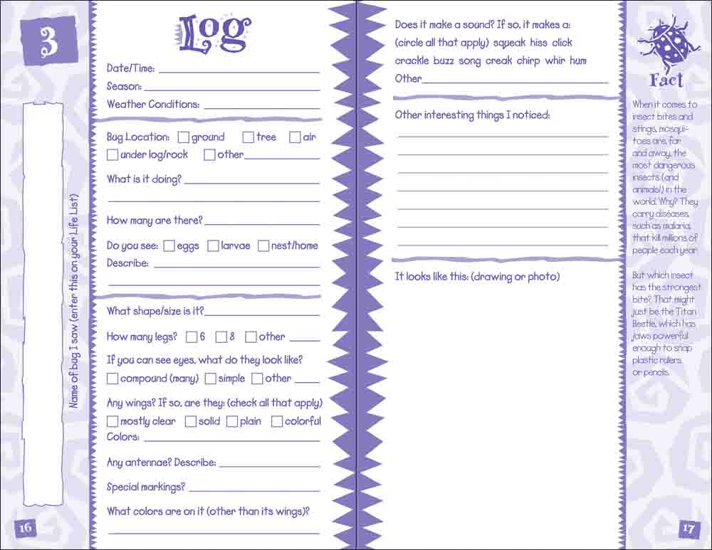 Bug Log Kids - Image 4