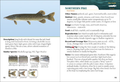 Fish of Minnesota Field Guide - Image 3
