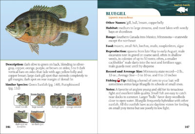 Fish of Minnesota Field Guide - Image 4