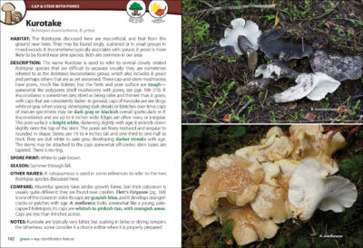 Mushrooms of the Northwest - Image 3