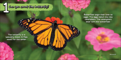 Can You Count the Critters? - Image 2