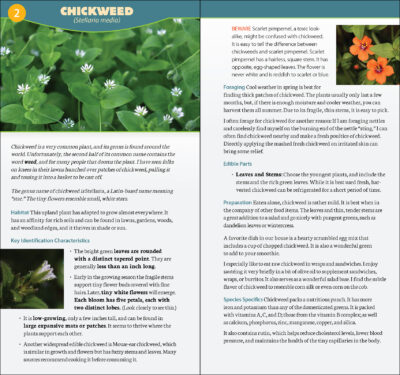 Foraging in North America - Image 2