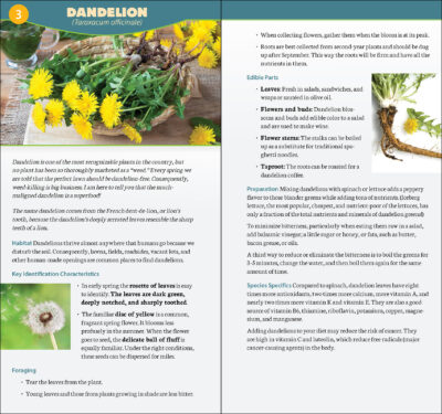 Foraging in North America - Image 3