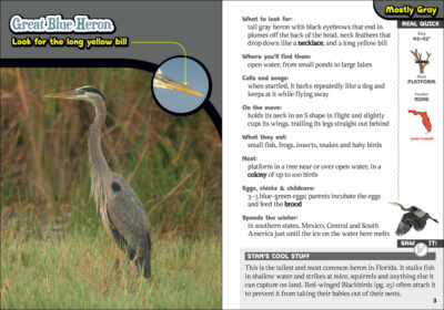 The Kids' Guide to Birds of Florida - Image 3