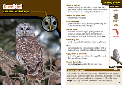 The Kids' Guide to Birds of Florida - Image 4