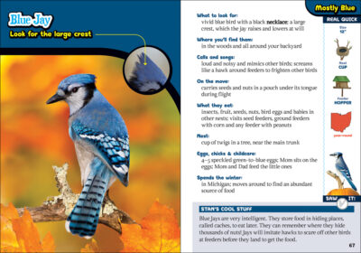 The Kids' Guide to Birds of Ohio - Image 2