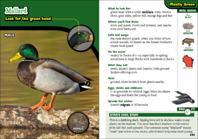The Kids' Guide to Birds of Wisconsin - Image 2
